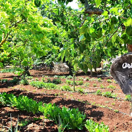 فندق مبيت وإفطار Masseria Peppeturro 3*