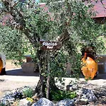 Bed & Breakfast Masseria Peppeturro 3*