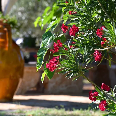 Masseria Peppeturro