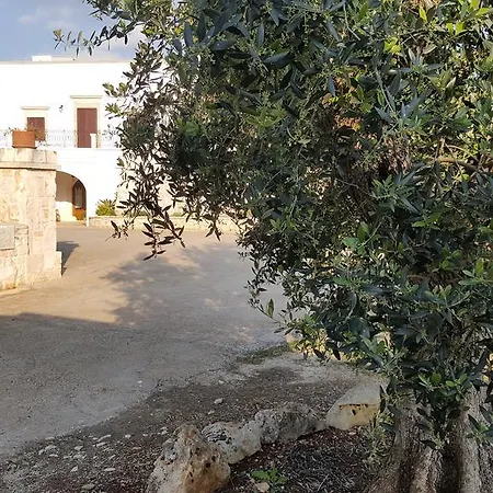 לינה וארוחת בוקר Masseria Peppeturro