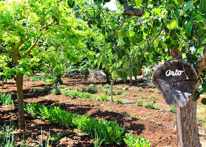 Bed & Breakfast Masseria Peppeturro 3*